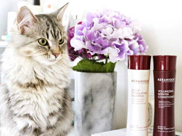 Keranique hare care review: Scalp Stimulating Shampoo and the Volumizing Keratin Conditioner to treat fine, flat, thinning hair. Read more at >> www.glamorable.com | via @glamorable #keraniquehair #ifabbomember