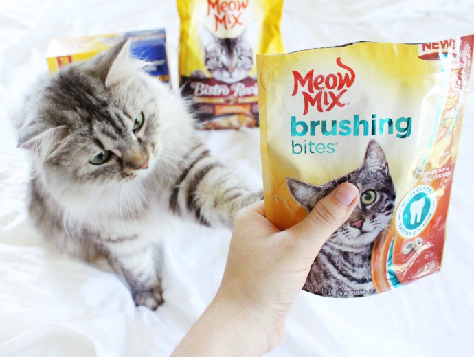 How to bond with your cat ft. Meow Mix cat food and treats