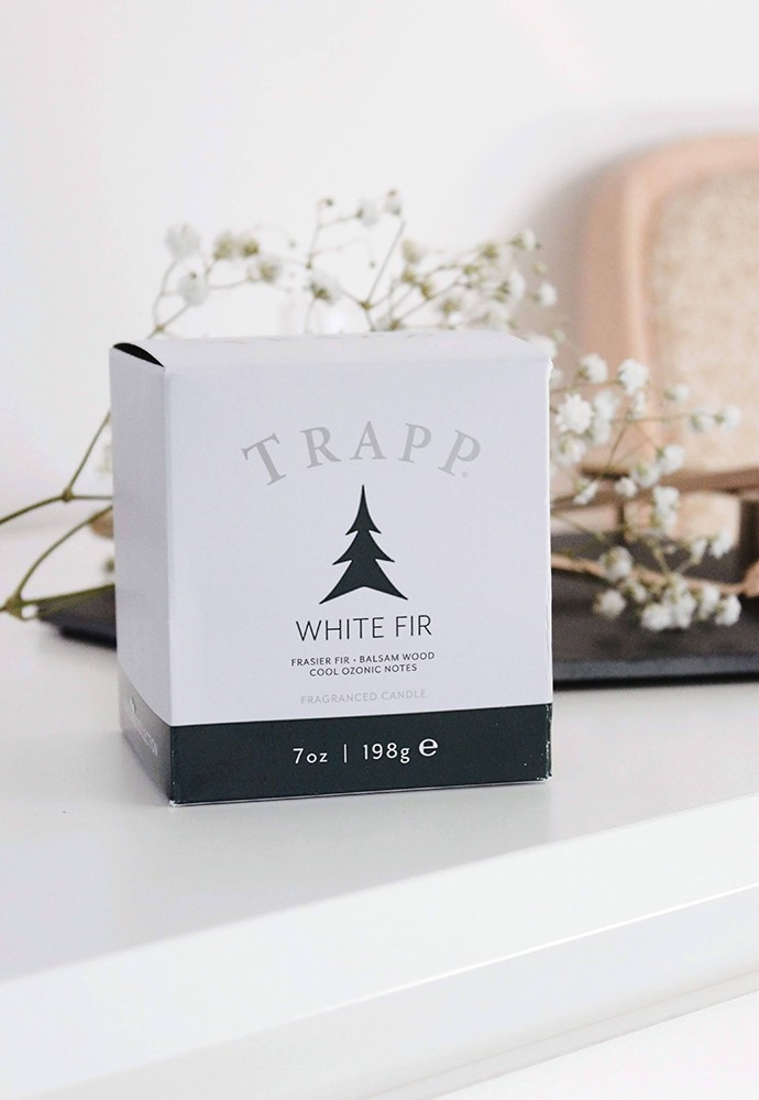 Holiday Mood with Trapp Luxury Candles