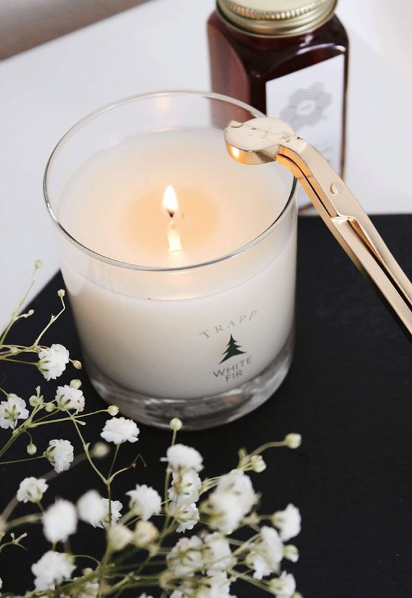 This Candle Smells Nice, You Should Buy It (cozy home with Trapp Luxury